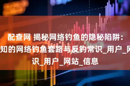 配查网 揭秘网络钓鱼的隐秘陷阱：你不可不知的网络钓鱼套路与反钓常识_用户_网站_信息