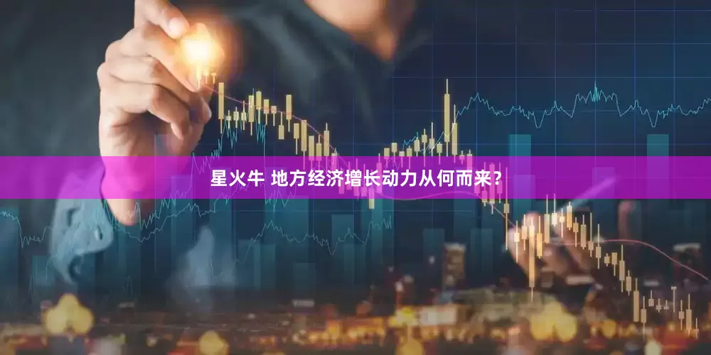 星火牛 地方经济增长动力从何而来？