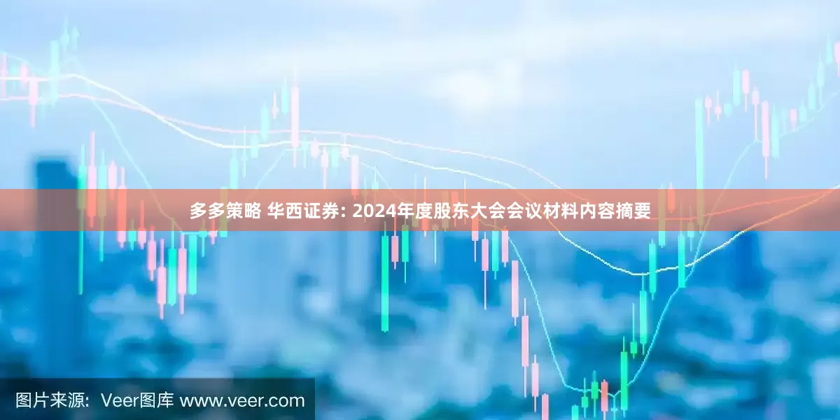 多多策略 华西证券: 2024年度股东大会会议材料内容摘要