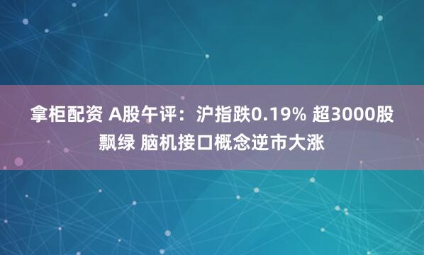 拿柜配资 A股午评:沪指跌0.19% 超3000股飘绿 脑机接口概念逆市大涨